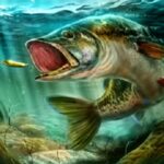Unduh Ultimate Fishing Simulator APK V3.71 (Mod, Unlimited Money) untuk Android